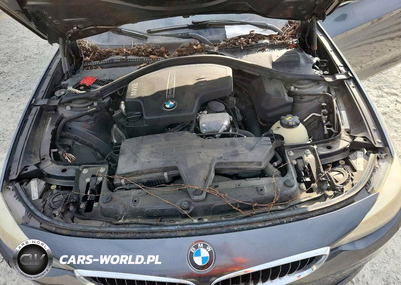2015 BMW 328 Xigt Sulev VIN:WBA8Z5C51FD671544 - 11