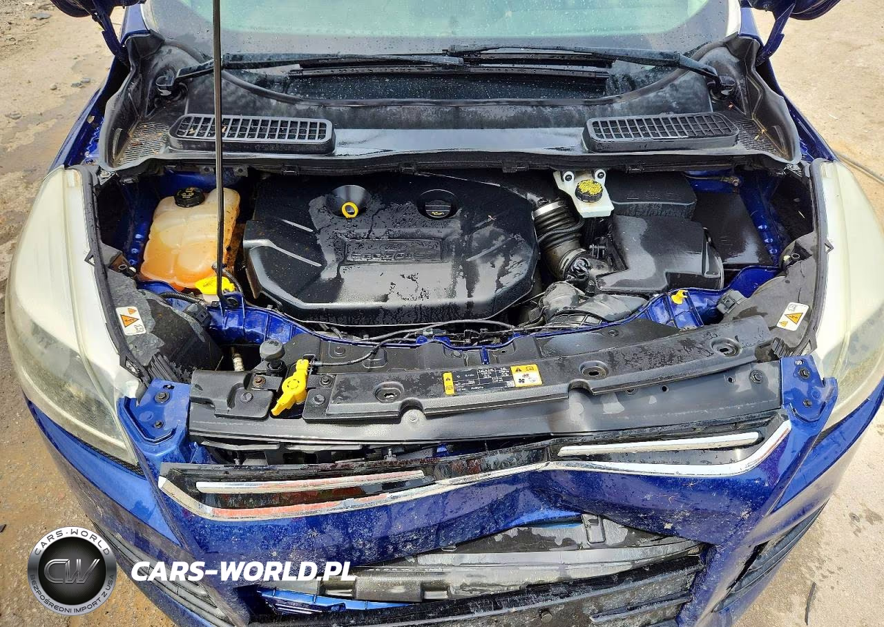 2016 Ford Escape Titanium VIN:1FMCU9J95GUC58449 - 12