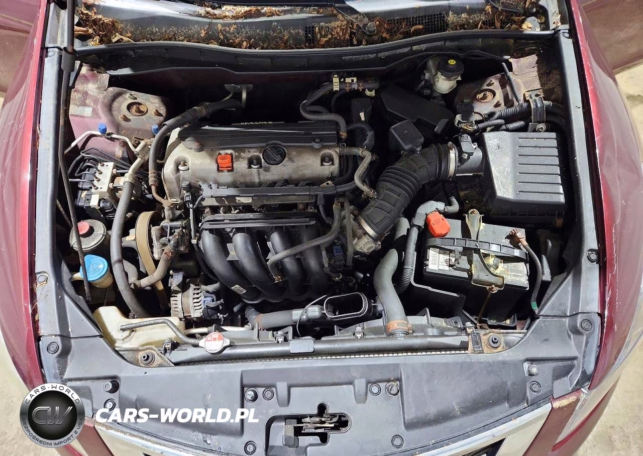 2010 Hond Accord VIN:1HGCP2F4XAA191499 - 11