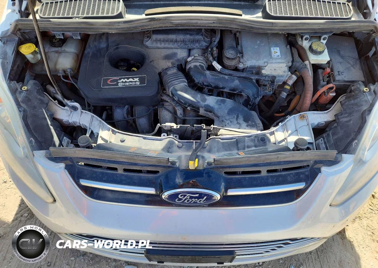 2016 Ford C-Max Premium Sel VIN:1FADP5CU9GL109841 - 11