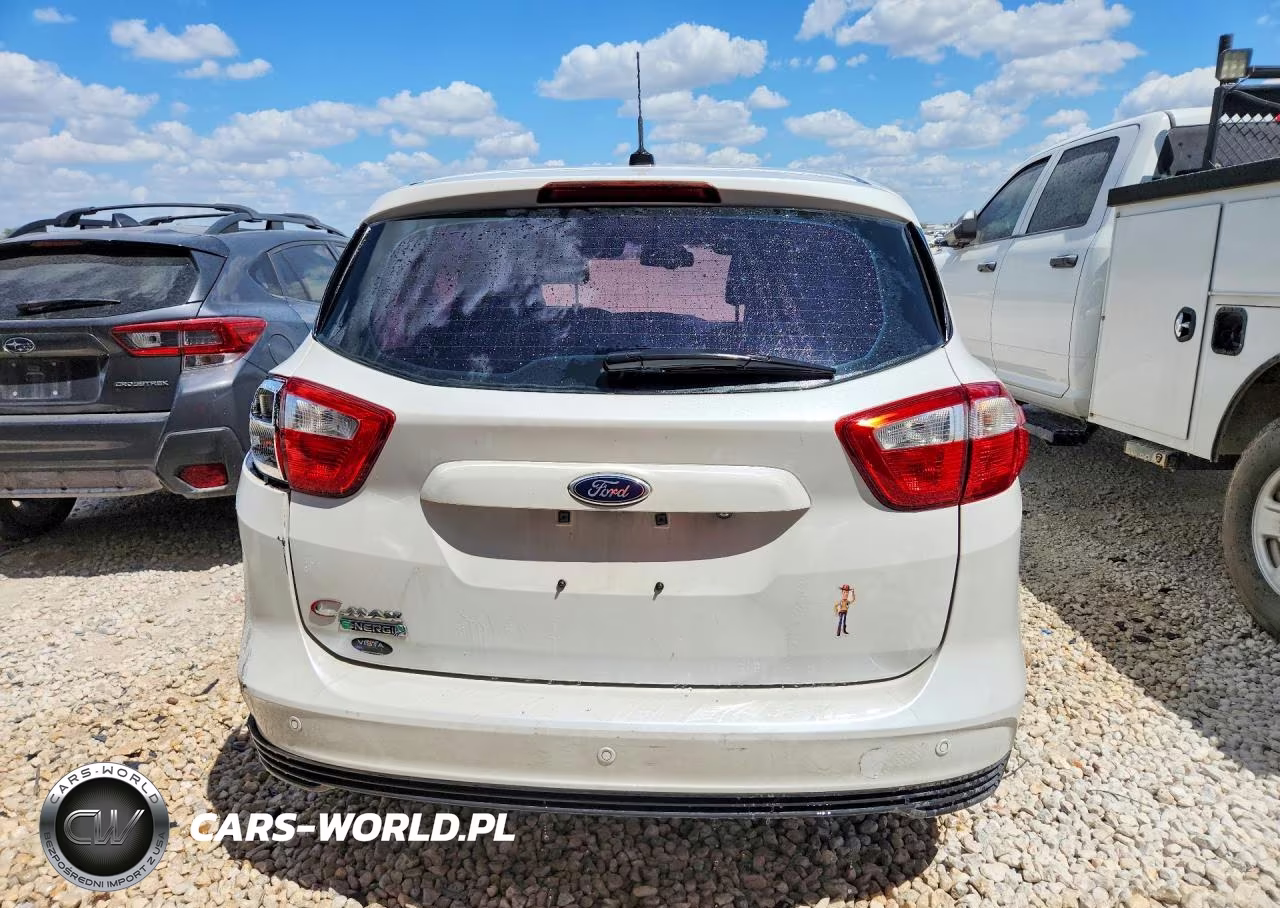 2016 Ford C-Max Premium Sel VIN:1FADP5CU9GL109841 - 6