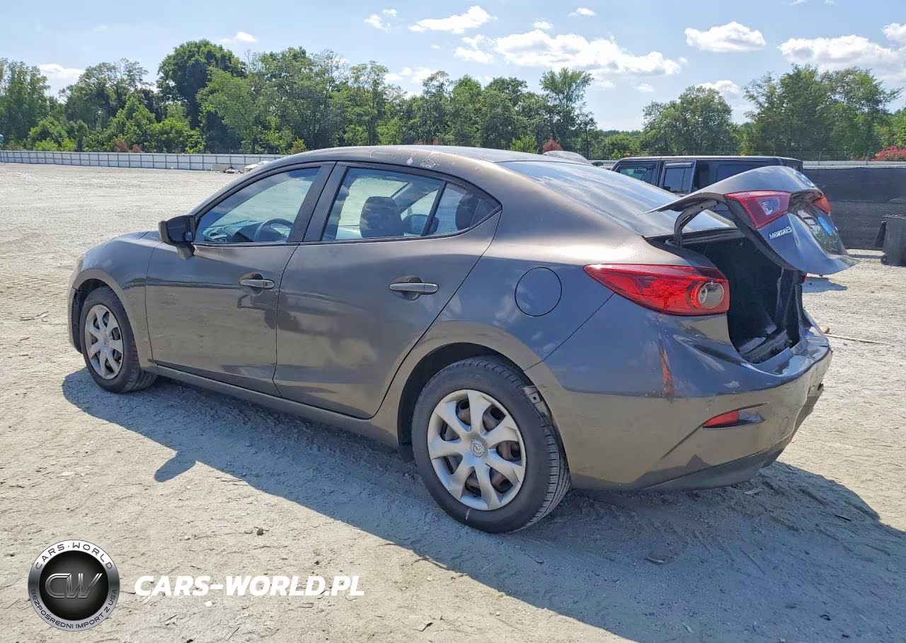 2014 Mazda 3 Sport VIN:JM1BM1U79E1117913 - 2