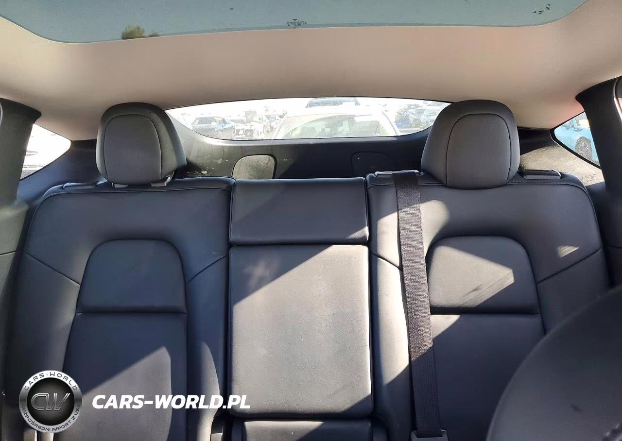 2023 Tesla Model Y VIN:7SAYGAEE1PF696004 - 10