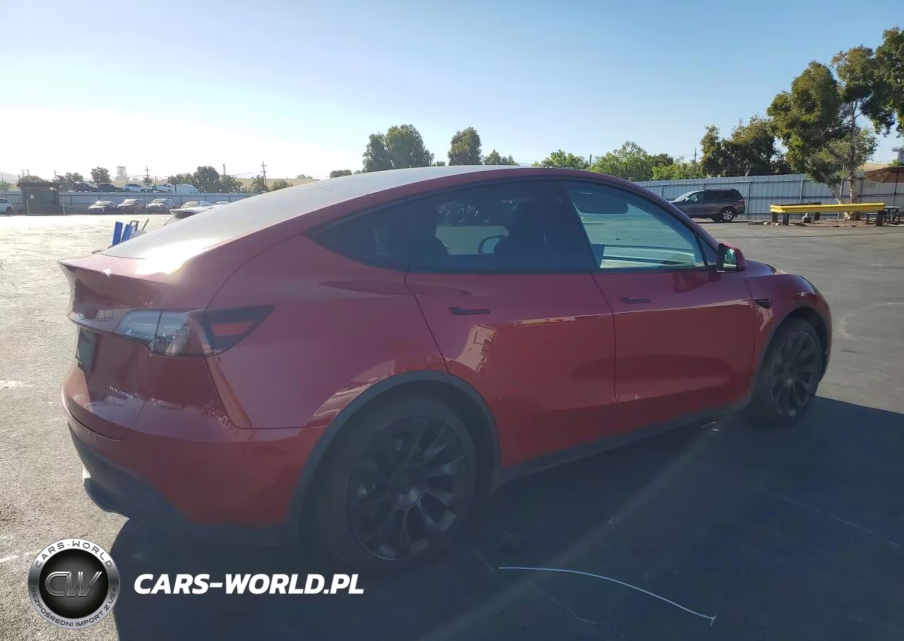 2023 Tesla Model Y VIN:7SAYGAEE1PF696004 - 3