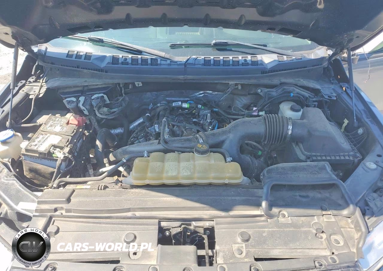 2019 Ford F150 Supercrew VIN:1FTEW1EPXKKD68564 - 11