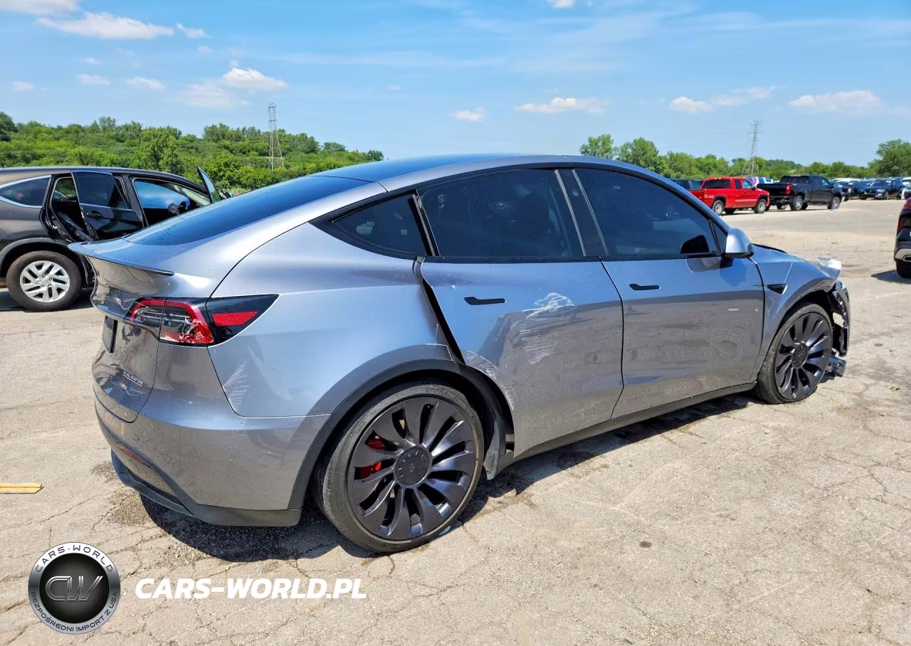 2024 Tesla Model Y VIN:7SAYGDEFXRA330214 - 3