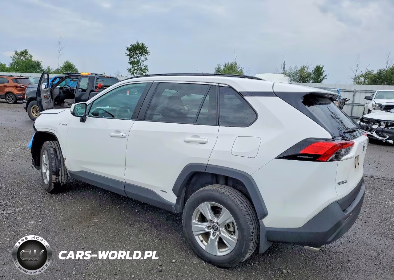 2021 Toyota Rav4 Xle VIN:4T3RWRFV8MU035772 - 2