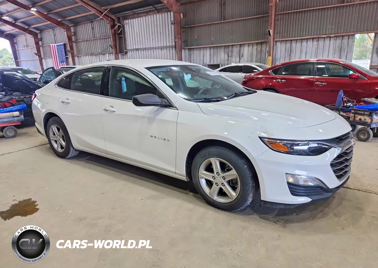 2020 Chevrolet Malibu Ls VIN:1G1ZC5ST9LF148385 - 4
