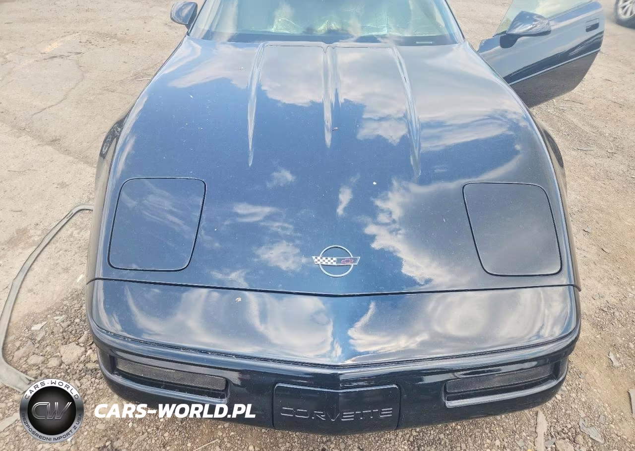 1991 Chevrolet Corvette VIN:1G1YY238XM5116462 - 11