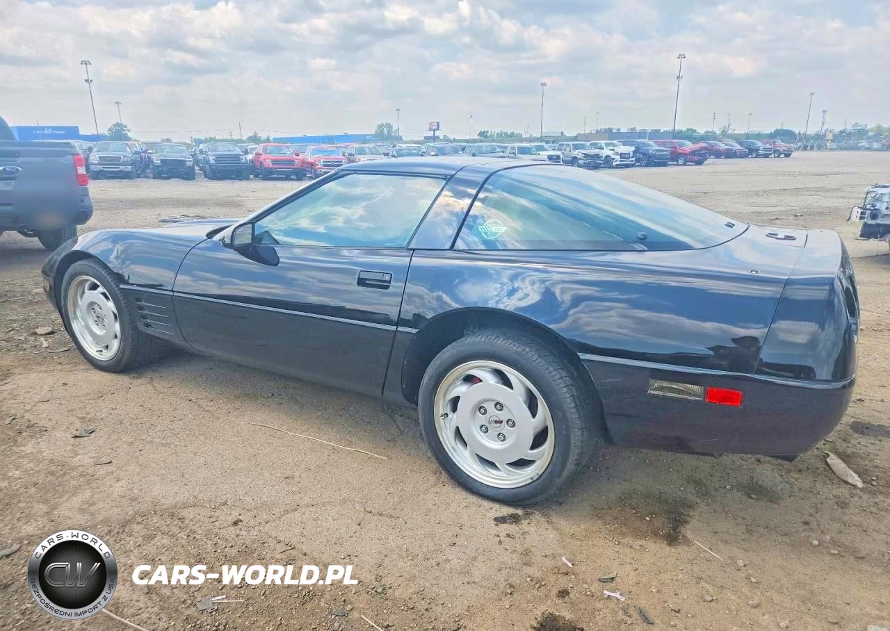 1991 Chevrolet Corvette VIN:1G1YY238XM5116462 - 2