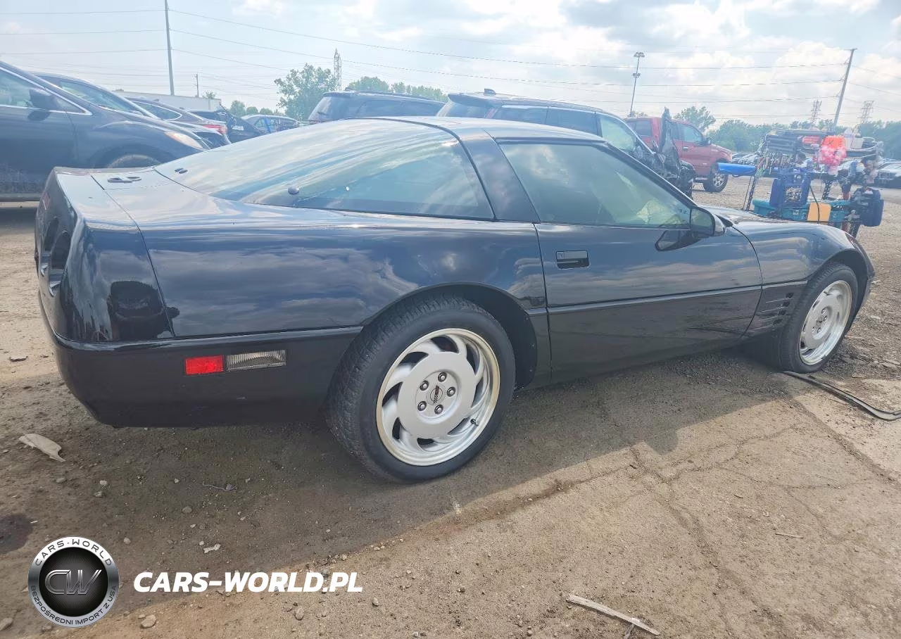 1991 Chevrolet Corvette VIN:1G1YY238XM5116462 - 3