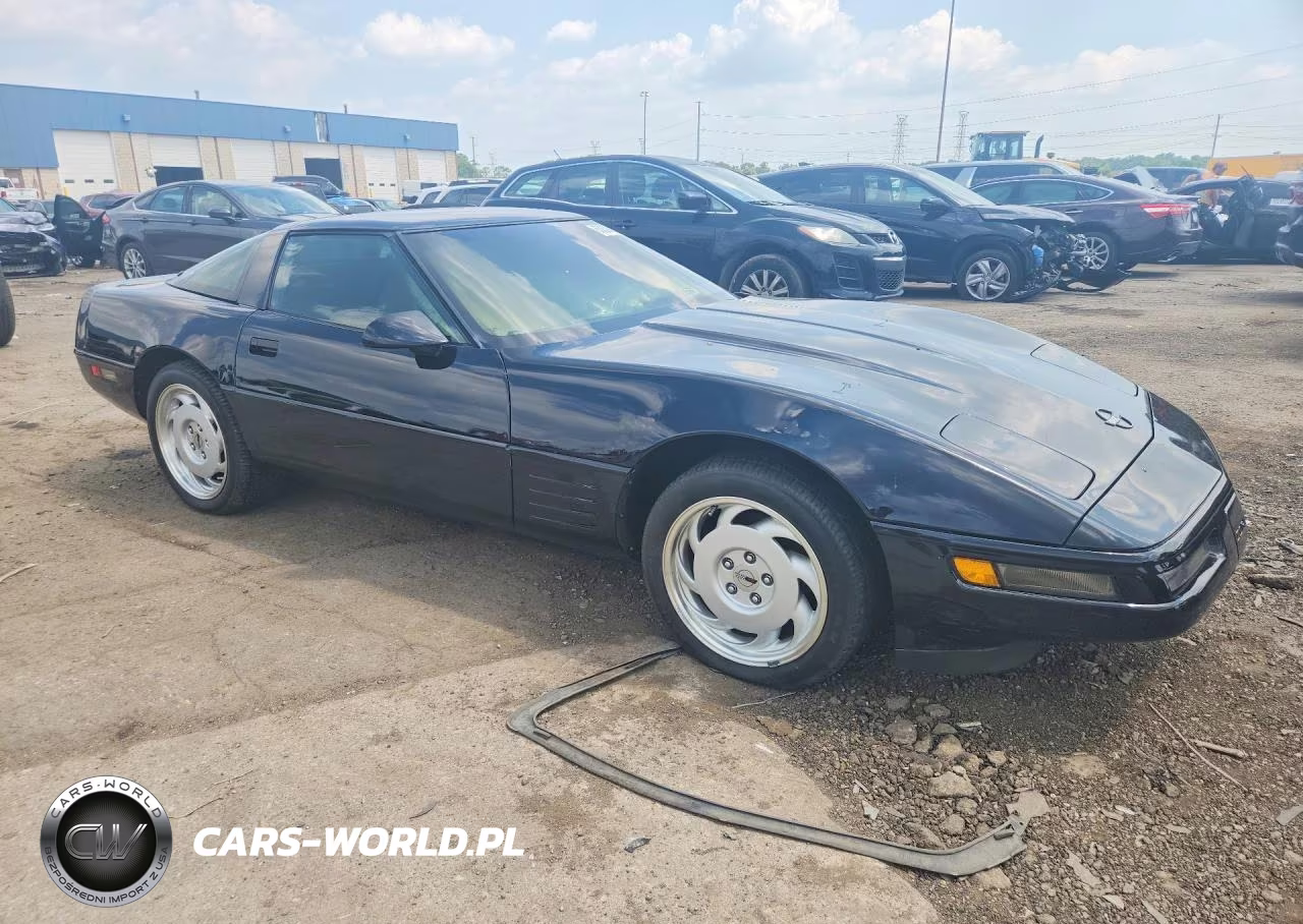 1991 Chevrolet Corvette VIN:1G1YY238XM5116462 - 4