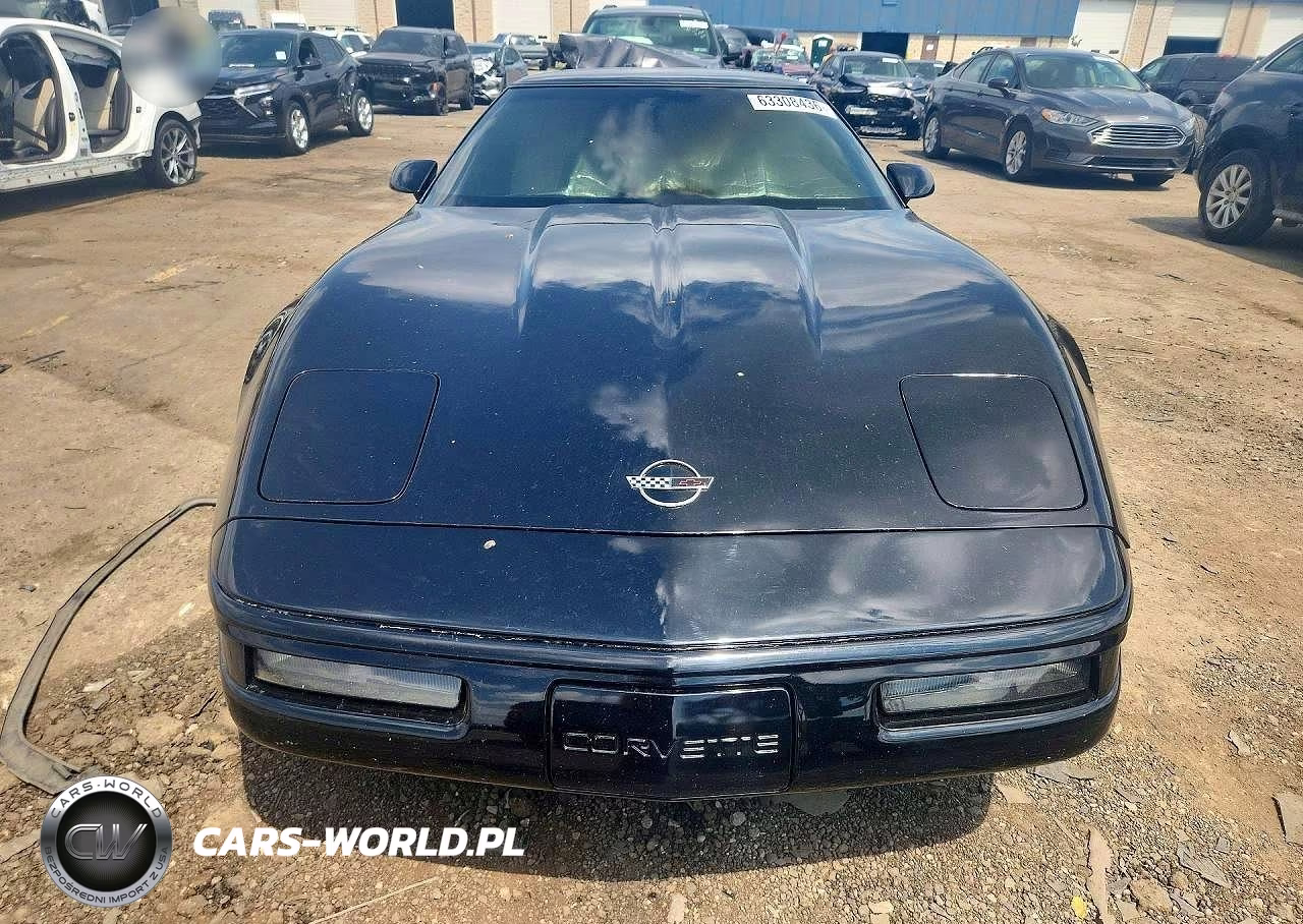 1991 Chevrolet Corvette VIN:1G1YY238XM5116462 - 5