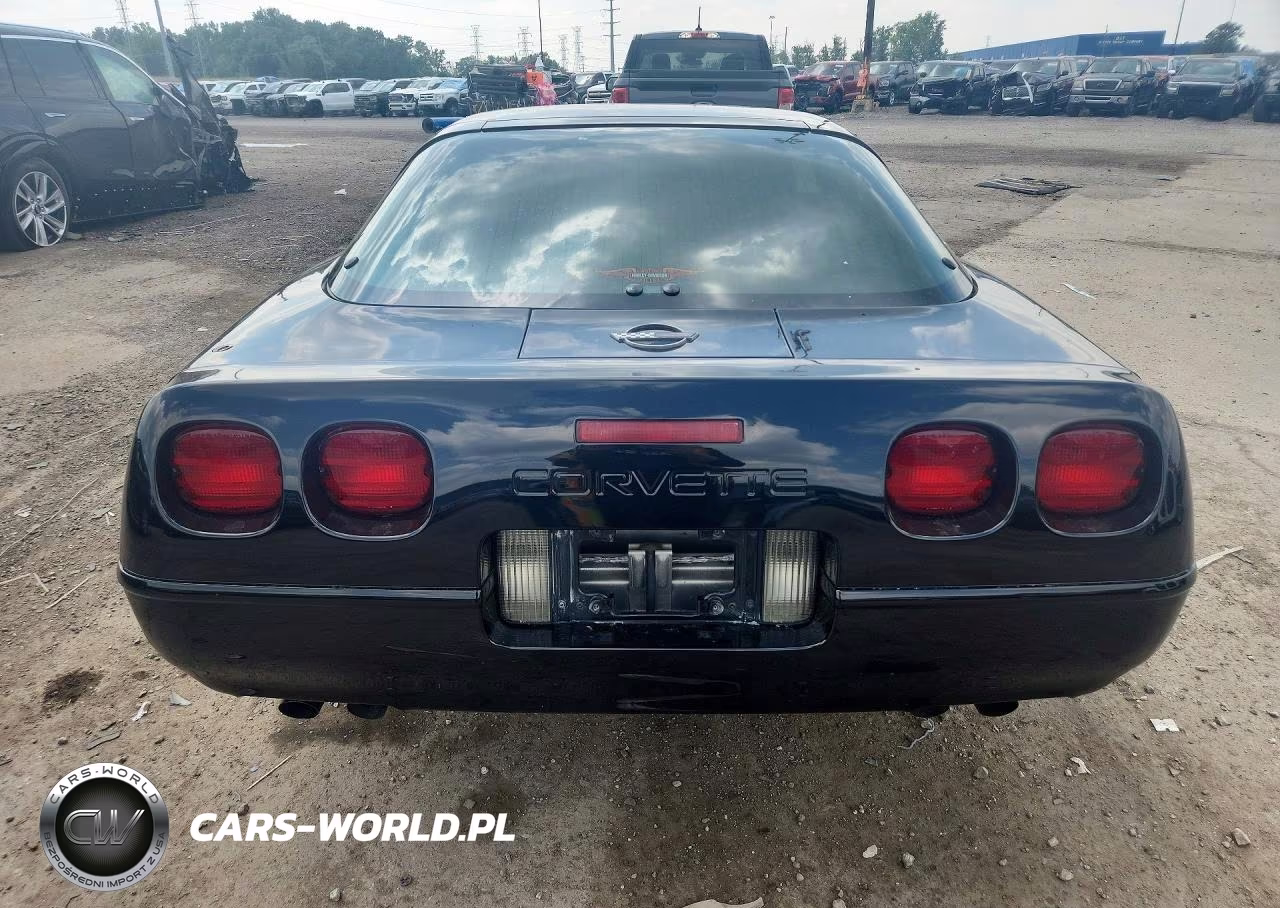1991 Chevrolet Corvette VIN:1G1YY238XM5116462 - 6
