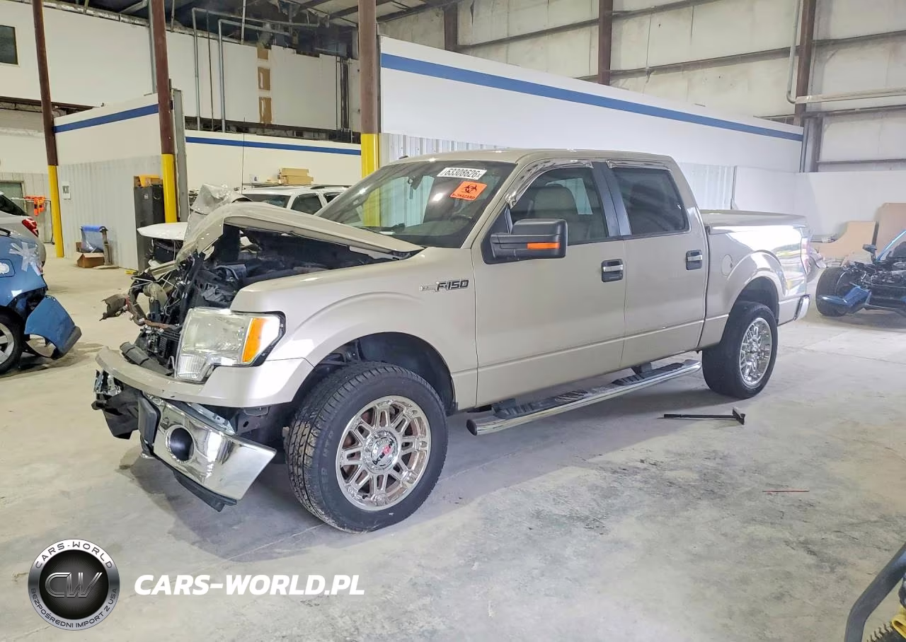 2010 Ford F150 Supercrew VIN:1FTFW1EV8AFD64961 - 1