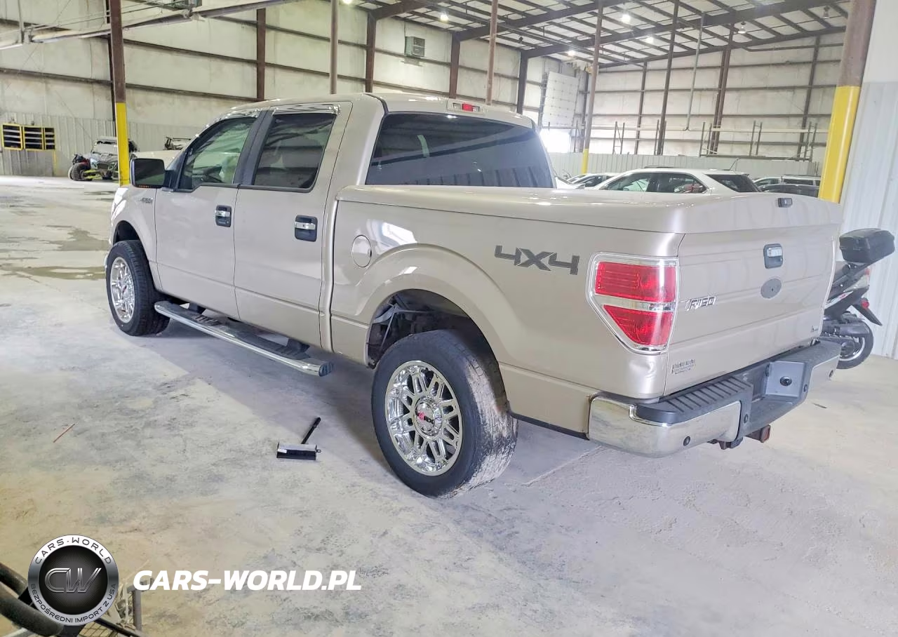 2010 Ford F150 Supercrew VIN:1FTFW1EV8AFD64961 - 2