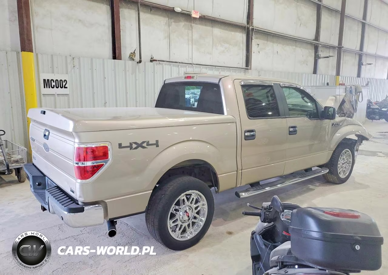 2010 Ford F150 Supercrew VIN:1FTFW1EV8AFD64961 - 3
