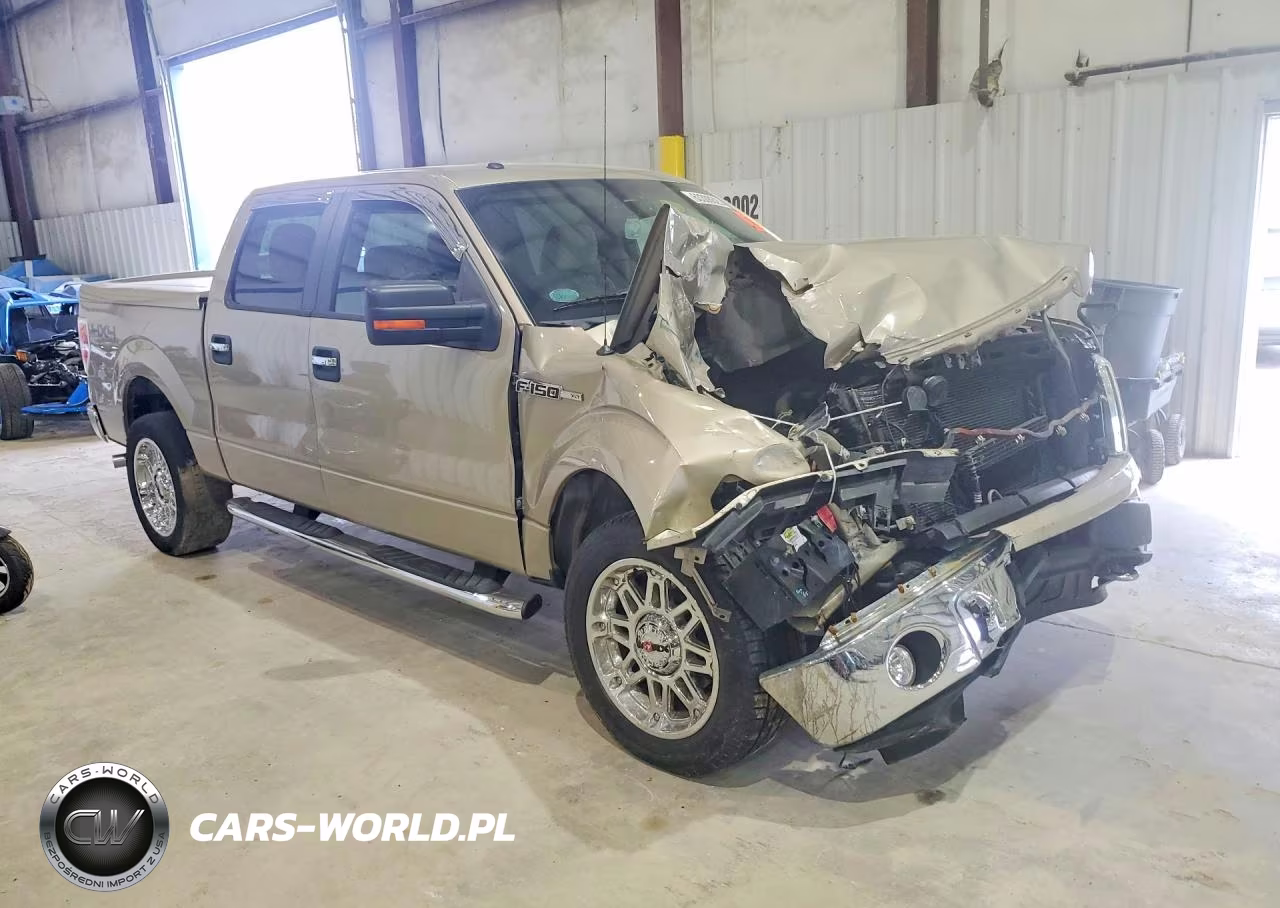 2010 Ford F150 Supercrew VIN:1FTFW1EV8AFD64961 - 4