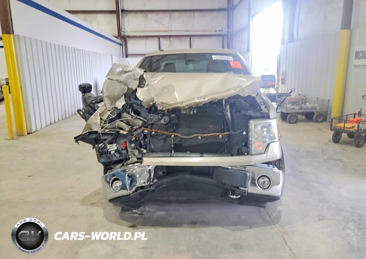 2010 Ford F150 Supercrew VIN:1FTFW1EV8AFD64961 - 5