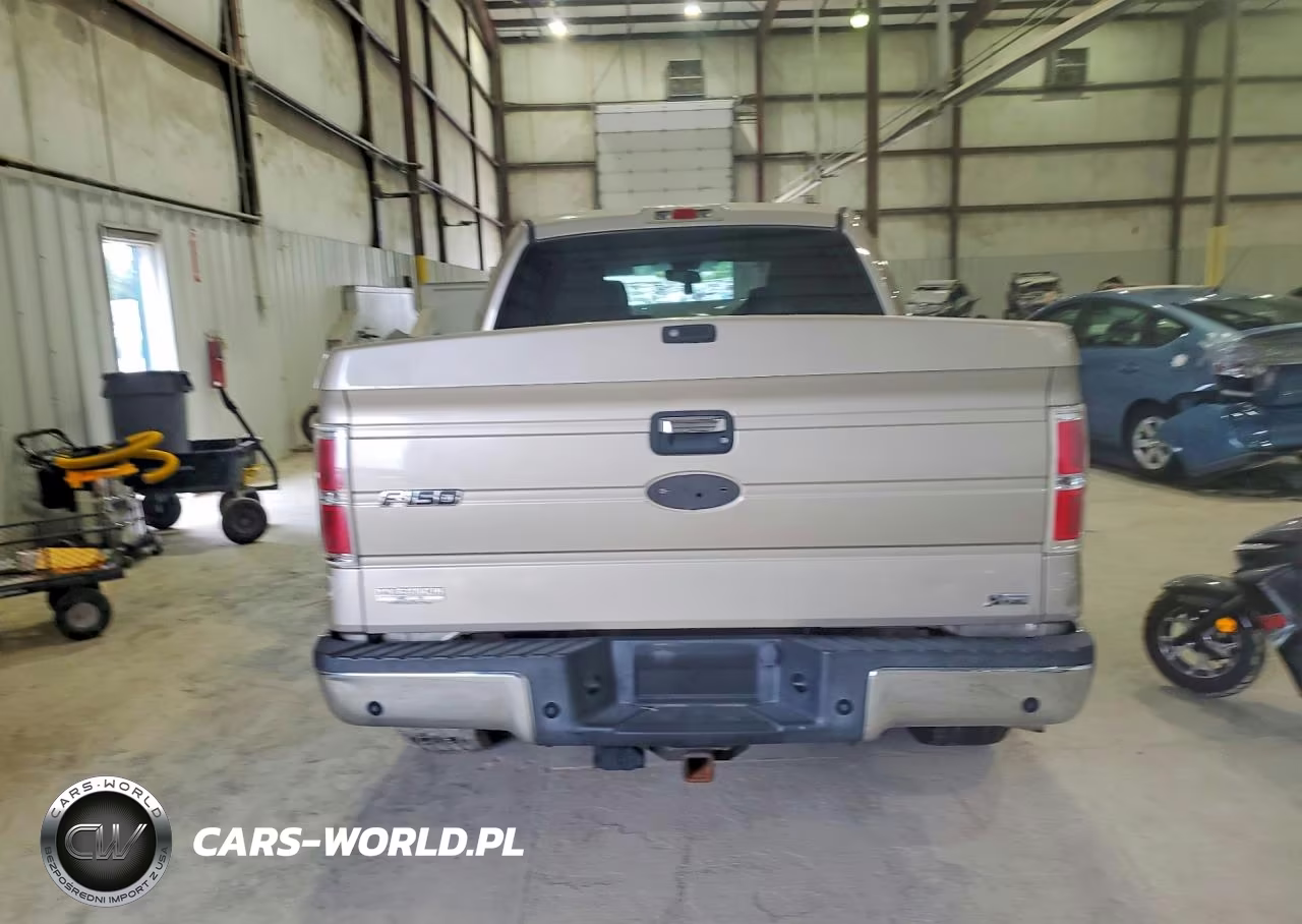 2010 Ford F150 Supercrew VIN:1FTFW1EV8AFD64961 - 6