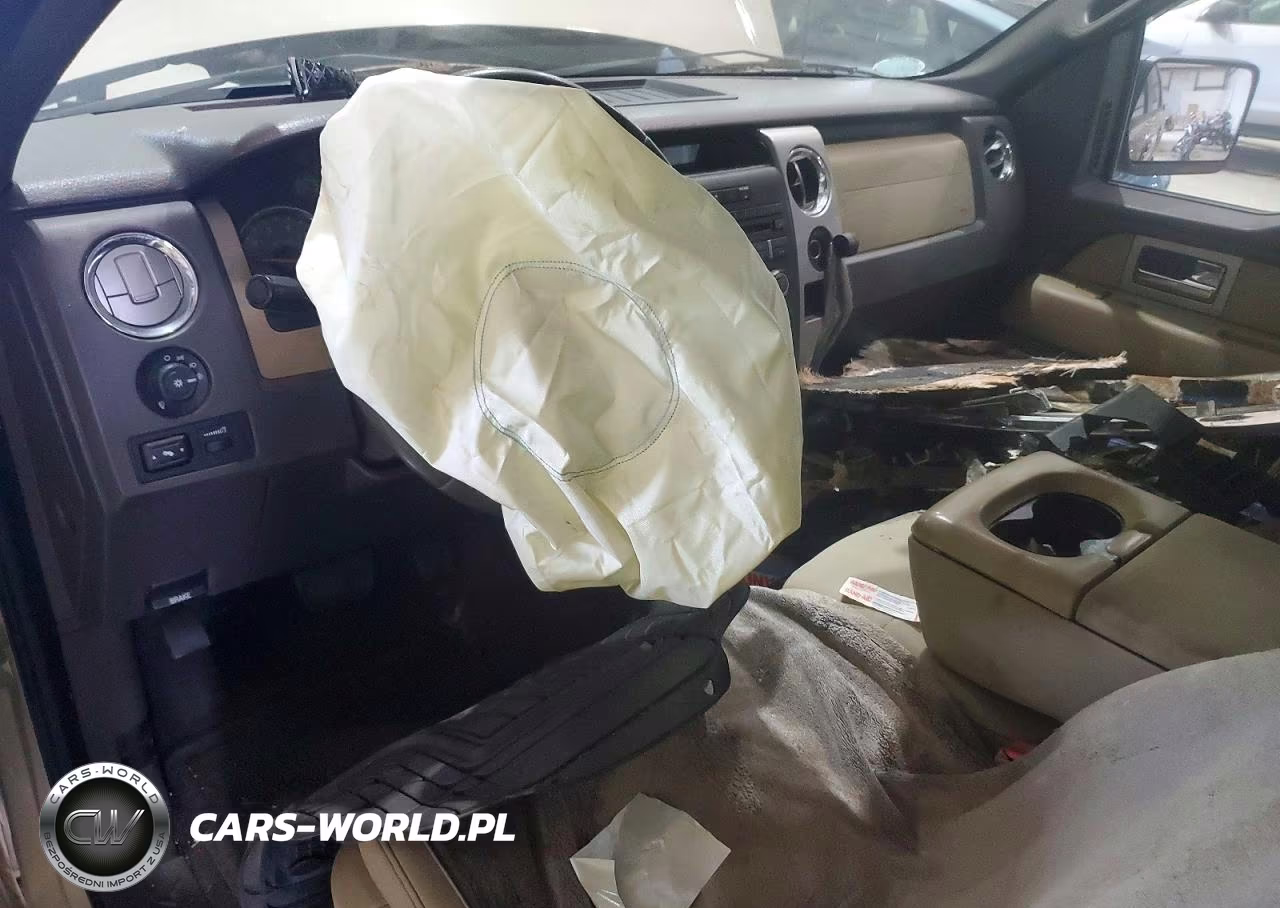 2010 Ford F150 Supercrew VIN:1FTFW1EV8AFD64961 - 8