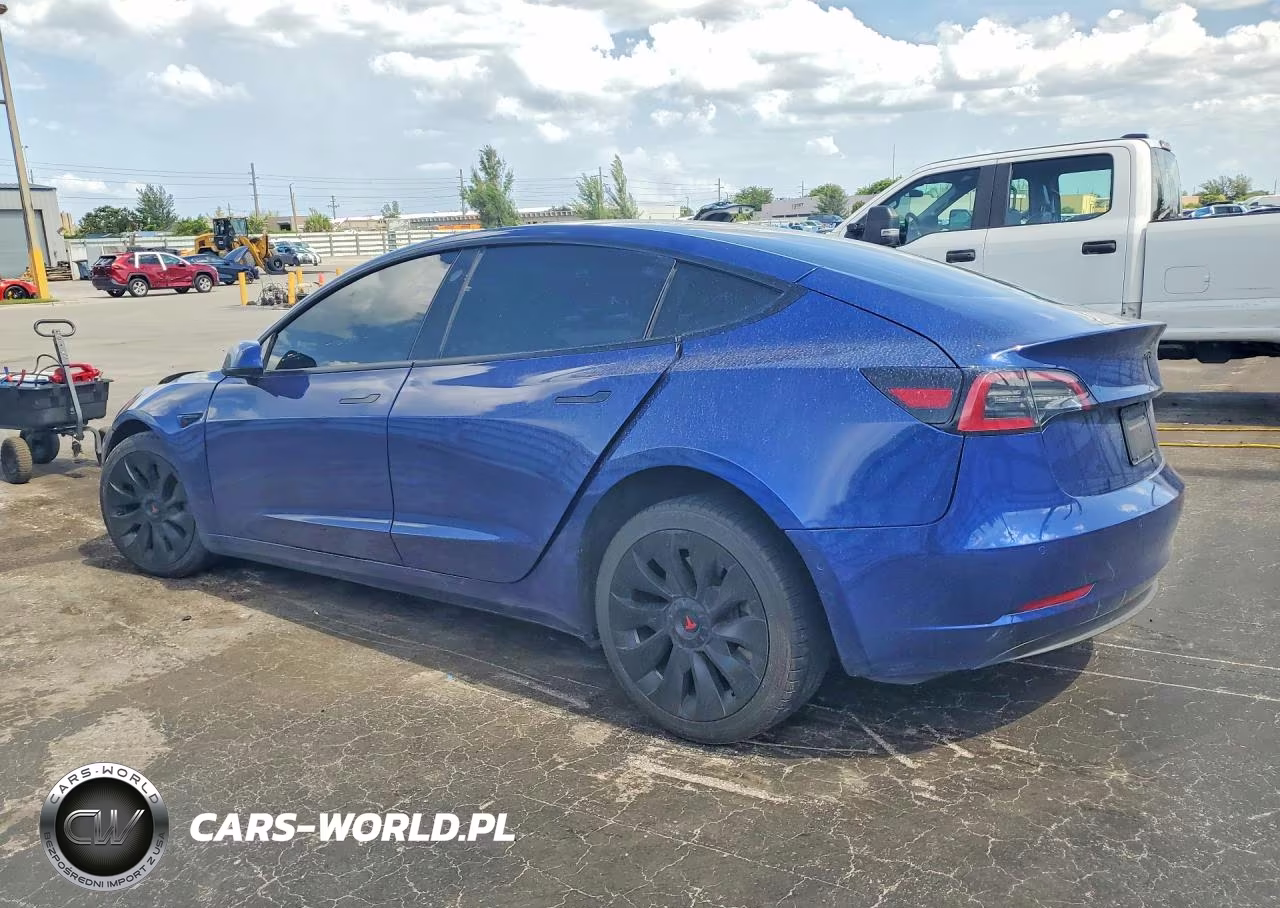 2021 Tesla Model 3 VIN:5YJ3E1EA0MF061538 - 2