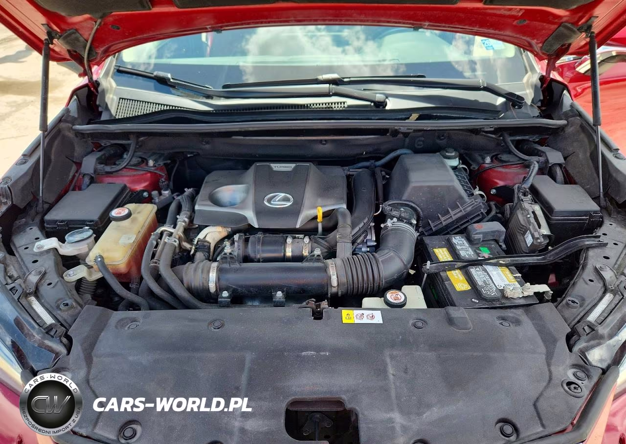 2019 Lexus Nx 300 Base VIN:JTJYARBZ3K2123702 - 12