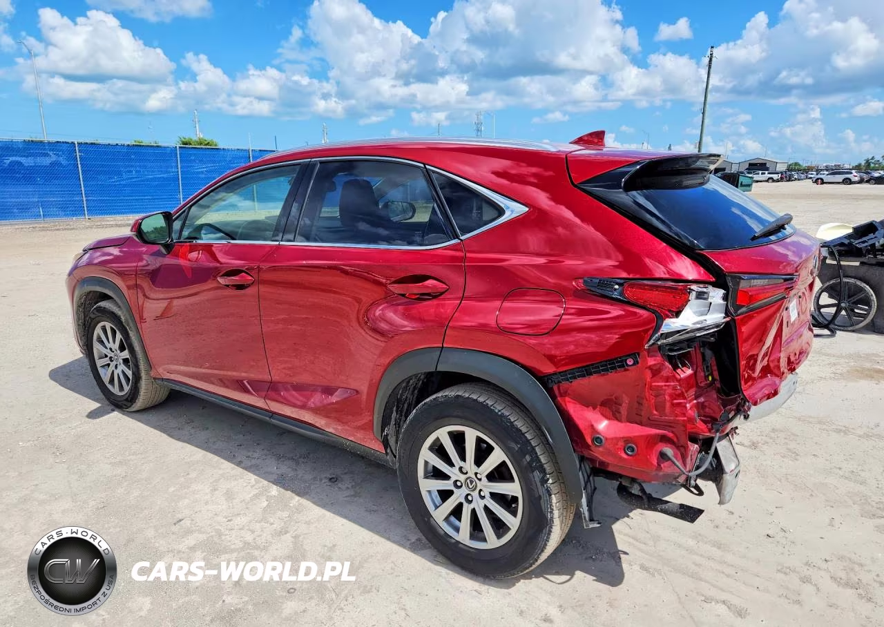 2019 Lexus Nx 300 Base VIN:JTJYARBZ3K2123702 - 2