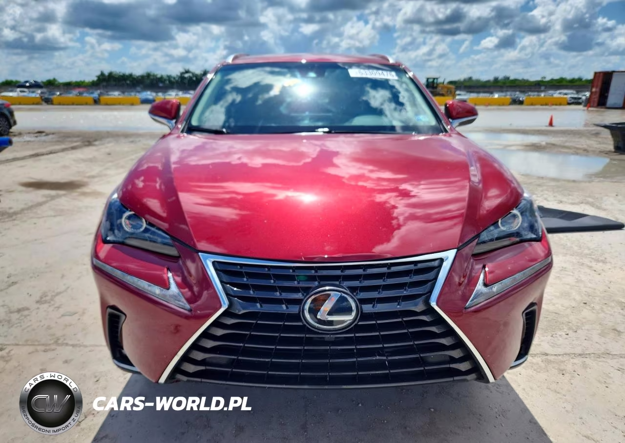 2019 Lexus Nx 300 Base VIN:JTJYARBZ3K2123702 - 5