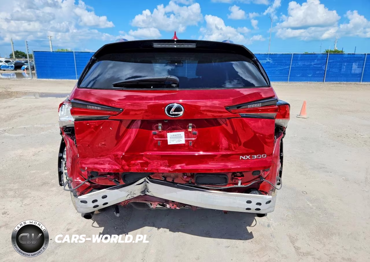 2019 Lexus Nx 300 Base VIN:JTJYARBZ3K2123702 - 6
