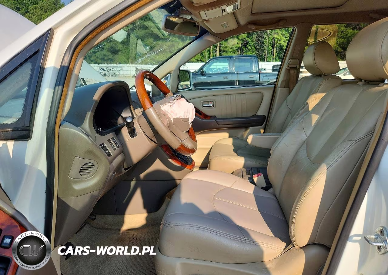2003 Lexus Rx 300 VIN:JTJGF10U430160731 - 7