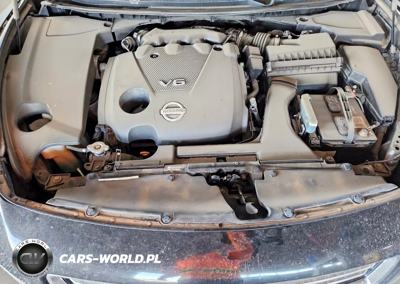 2013 Nissan Maxima 3.5 S VIN:1N4AA5AP9DC841416 - 11