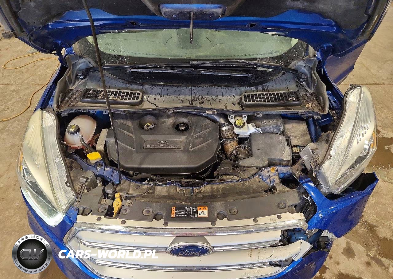 2017 Ford Escape Se VIN:1FMCU9G92HUB78700 - 12