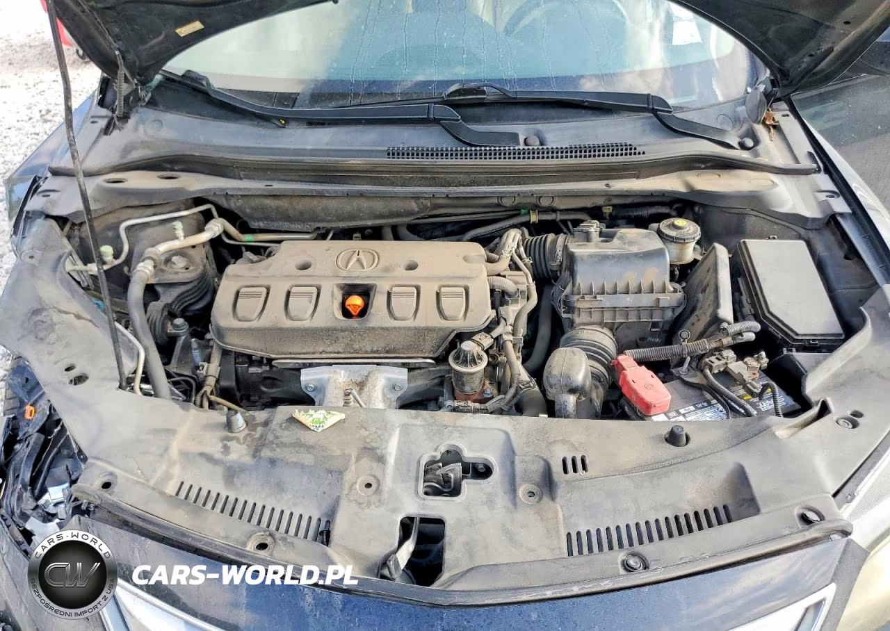 2014 Acura Ilx 20 Premium VIN:19VDE1F59EE000856 - 11