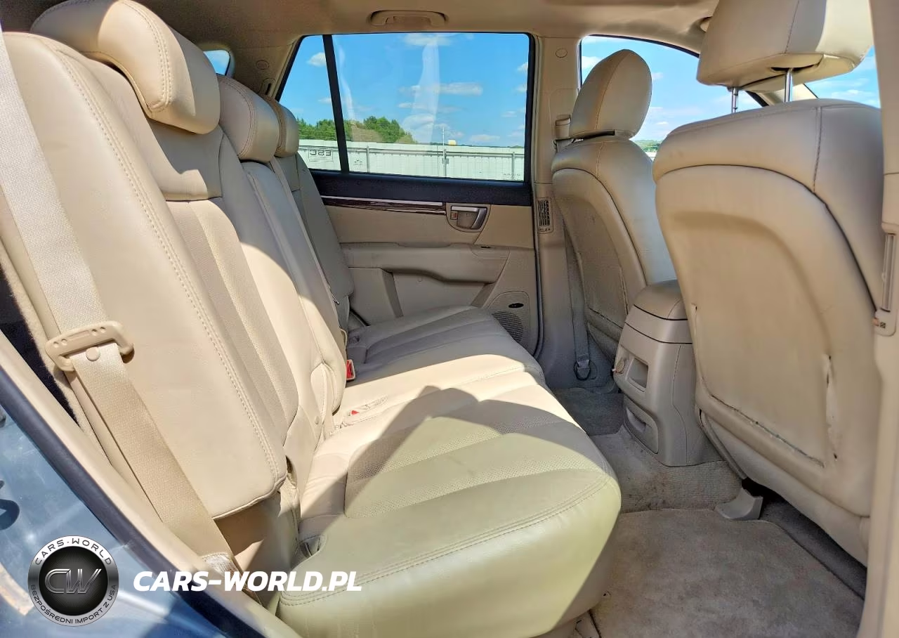 2009 Hyundai Santa Fe Limited VIN:5NMSH13E69H299523 - 11