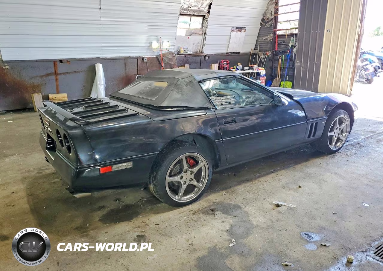 1990 Chevrolet Corvette VIN:1G1YY3384L5117661 - 3