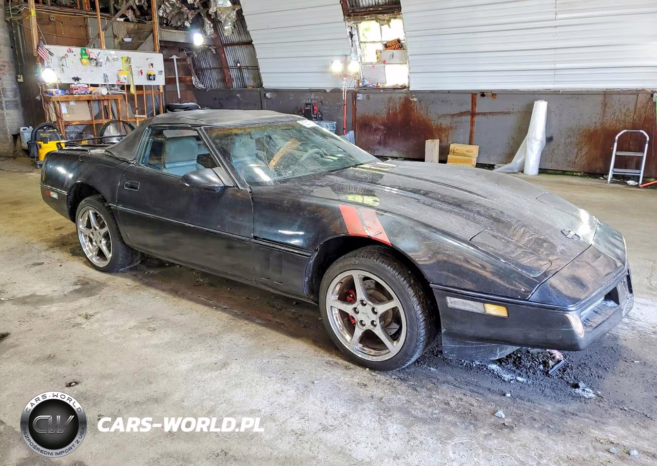 1990 Chevrolet Corvette VIN:1G1YY3384L5117661 - 4