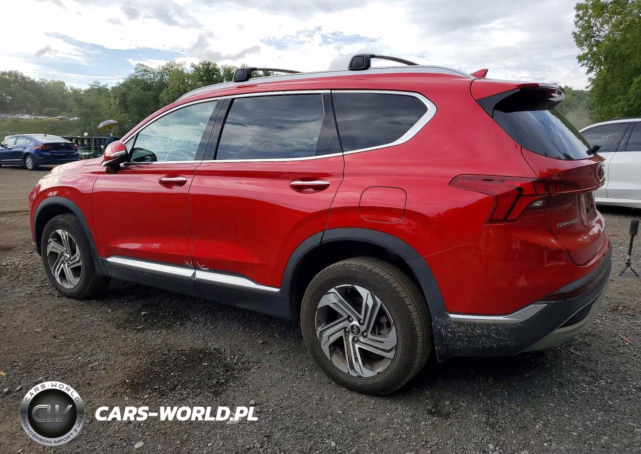 2023 Hyundai Santa Fe Sel Premium VIN:5NMS3DAJ1PH564264 - 2
