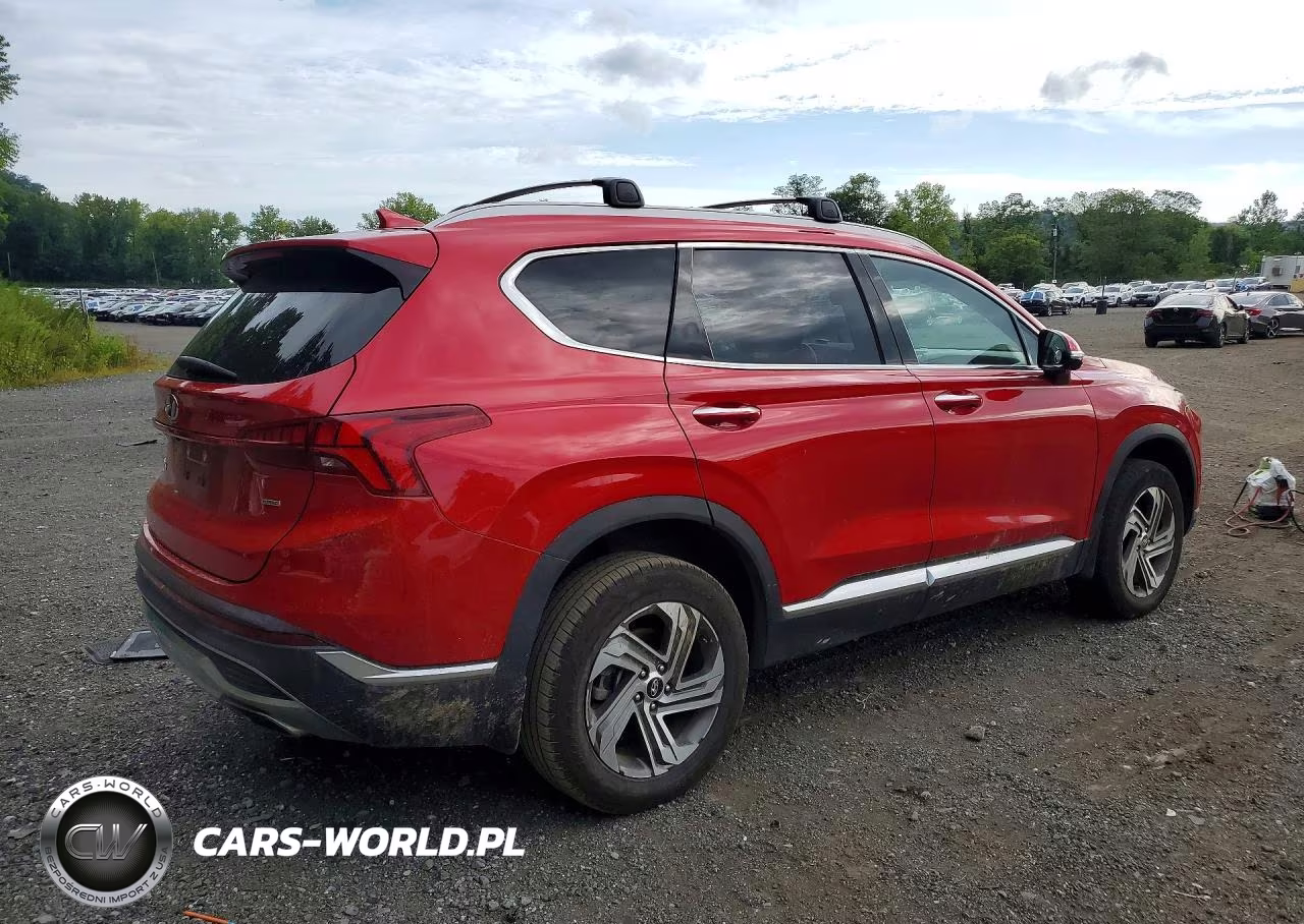 2023 Hyundai Santa Fe Sel Premium VIN:5NMS3DAJ1PH564264 - 3