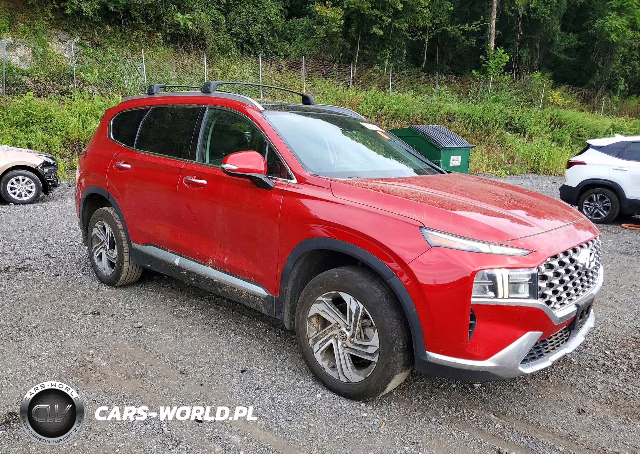 2023 Hyundai Santa Fe Sel Premium VIN:5NMS3DAJ1PH564264 - 4
