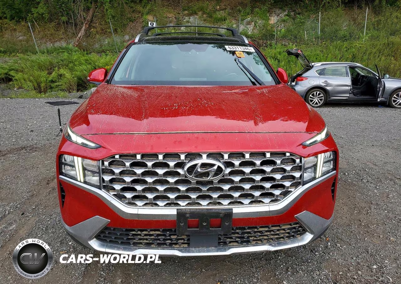2023 Hyundai Santa Fe Sel Premium VIN:5NMS3DAJ1PH564264 - 5