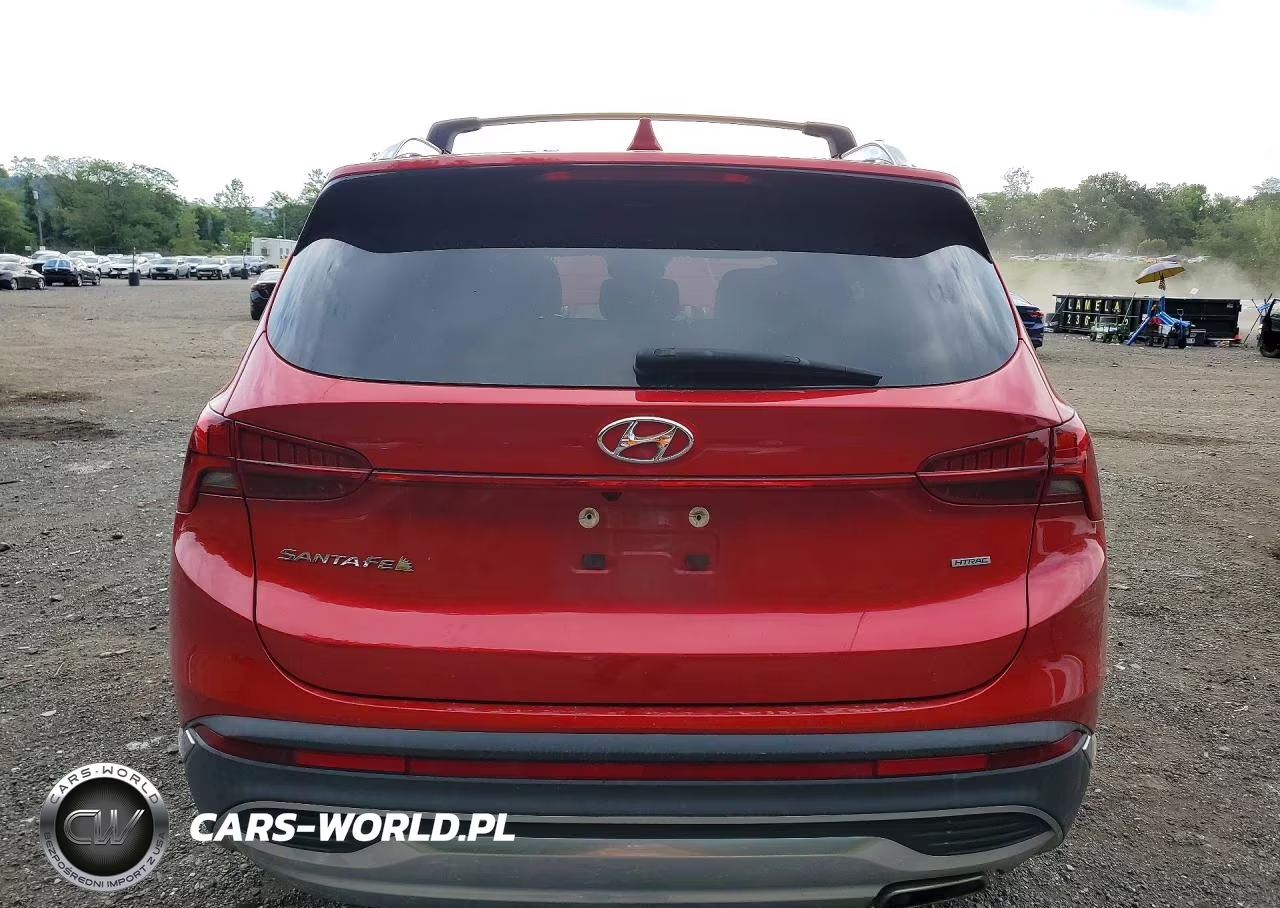 2023 Hyundai Santa Fe Sel Premium VIN:5NMS3DAJ1PH564264 - 6