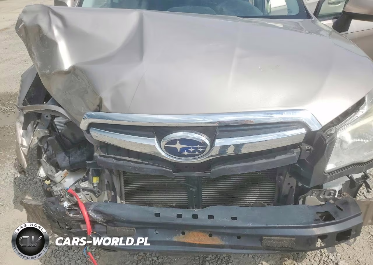2015 Subaru Forester 2.5I Premium VIN:JF2SJAFC0FH546046 - 12