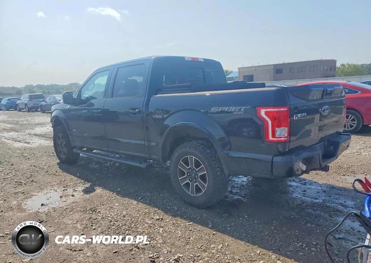 2016 Ford F150 Supercrew VIN:1FTEW1EPXGFD22958 - 2