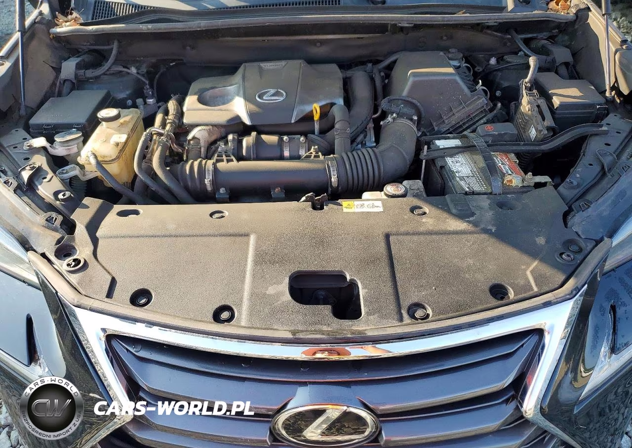 2016 Lexus Nx 200T Base VIN:JTJBARBZ5G2090232 - 12