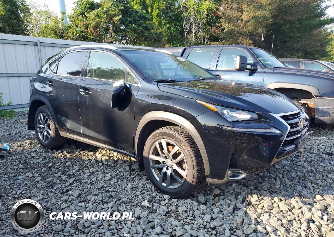 2016 Lexus Nx 200T Base VIN:JTJBARBZ5G2090232 - 4