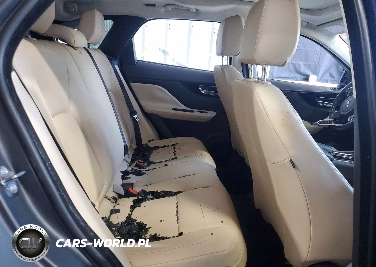 2019 Jaguar F-Pace Premium VIN:SADCJ2FX5KA356844 - 11