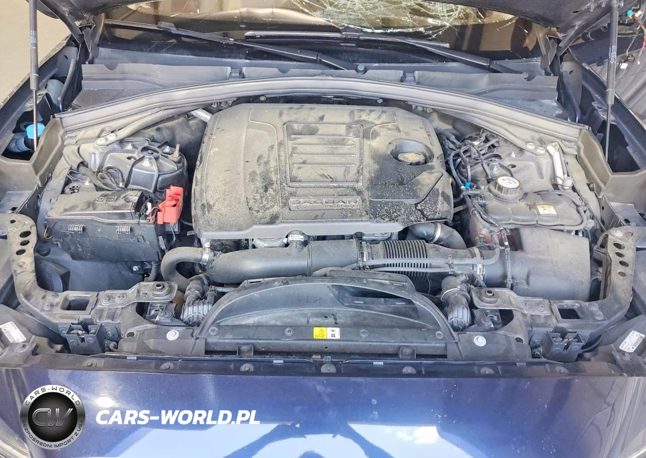 2019 Jaguar F-Pace Premium VIN:SADCJ2FX5KA356844 - 12
