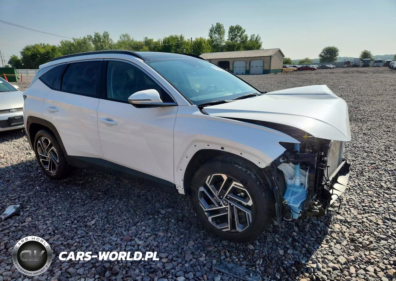 2025 Hyundai Tucson Limited VIN:3KMJE3DE5SE020572 - 4