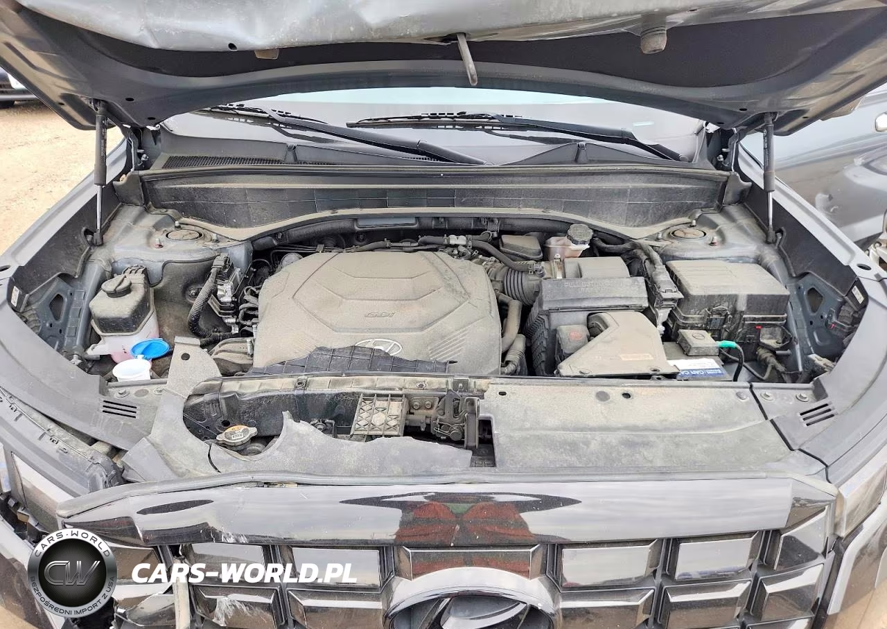 2023 Hyundai Palisade Limited VIN:KM8R5DGE9PU568697 - 12
